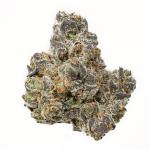 Apple Fritter Cannabis Teen Plant