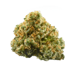 Sticky Buns Cannabis Clones