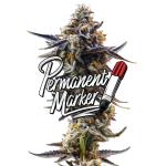 Permanent Marker Cannabis Clones